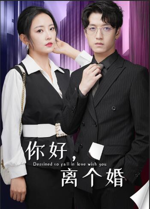 你好，离个婚（30集）免费看全集