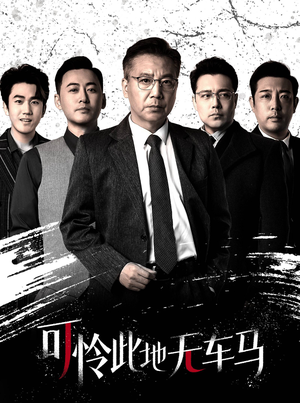 可怜此地无车马&我骑个电驴怎么了（30集）精彩短剧下载