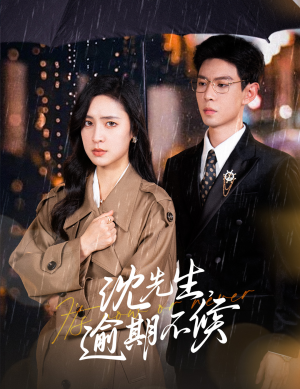 沈先生，逾期不候（75集）全集免费