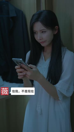 晚风不知意（31集）短剧免费看全集