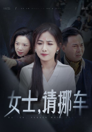女士请挪车＆善门难开（29集）短剧更新抢先看