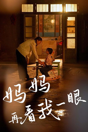 妈妈再看我一眼（32集）热播古装短剧