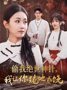 偷我绝世神针，我让你跪地求饶（30集）亿万短剧抢先看