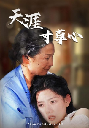 天涯寸草心（76集）爱上了这部剧了