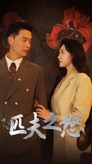 匹夫之怒（48集）好看短剧抢先看