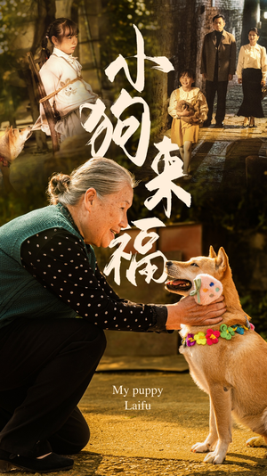 小狗来福（30集）短剧片段推荐
