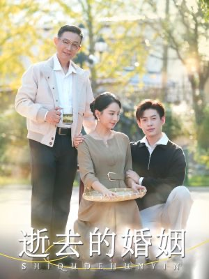 逝去的婚姻（60集）短剧全集抢先看