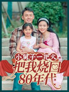 小舅子一把火把我烧回80年代（100集）在哪里看