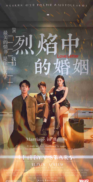 烈焰中的婚姻（32集）演员表