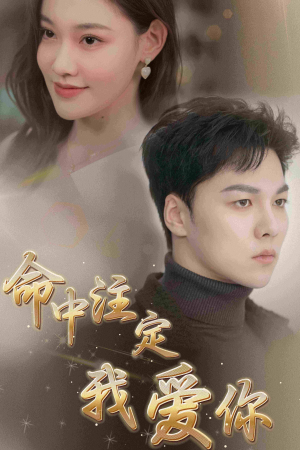 命中注定我爱你（75集）免费热门短剧