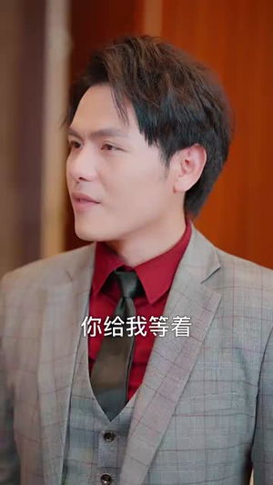 隐龙归来（88集）短剧上热门