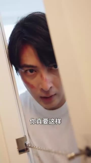 婚姻启示录（29集）热门爆款短剧