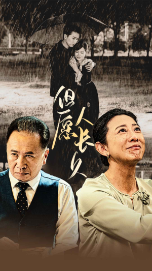 但愿人长久（80集）免费观看