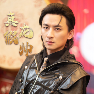 真假龙帅（81集）热门短剧排行榜