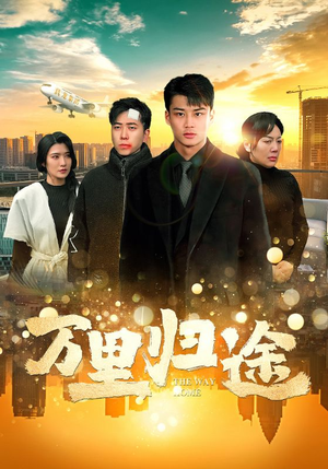 万里归途（70集）百度在线观看
