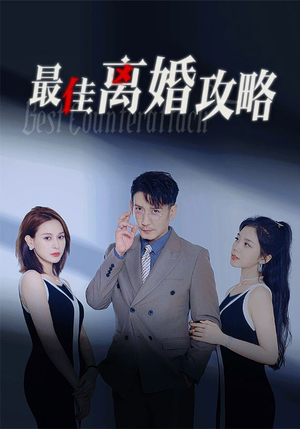 最佳离婚攻略（31集）在线看免费版