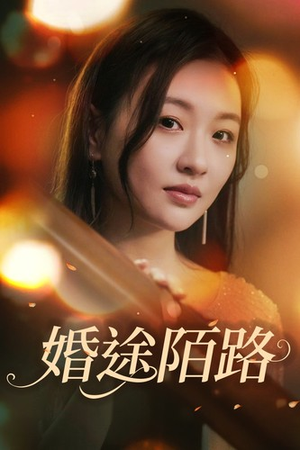 婚途陌路（15集）超火热门短剧