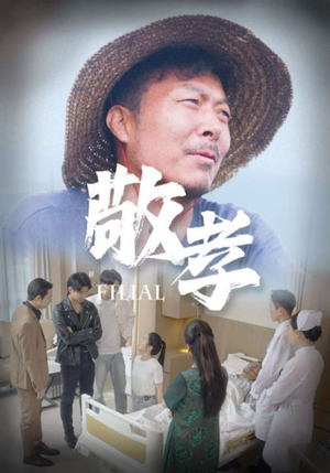 敬孝（61集）好看上头短剧