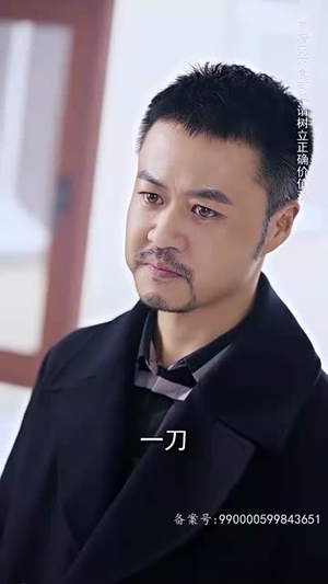 天下第二 （100集）短剧太精彩