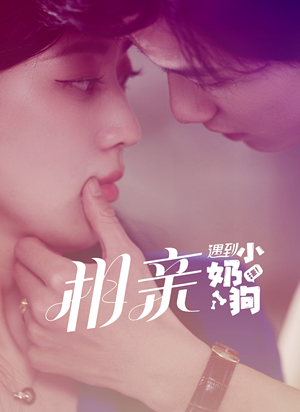 相亲遇到小奶狗（80集）在线免费观影