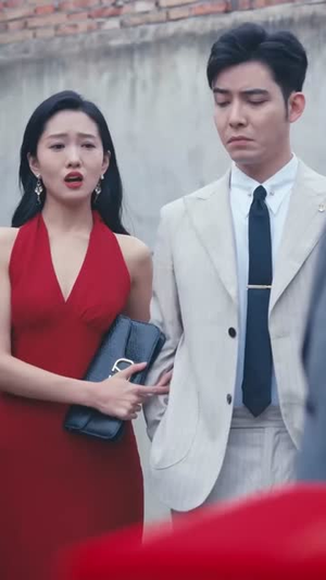 他的荣耀（合集）完整版免费观看