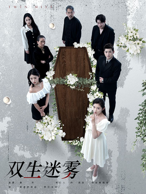 双生迷雾（80集）抢先看热门短剧
