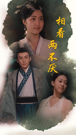 相看两不厌&这个王妃不好惹（85集）每天短剧分享