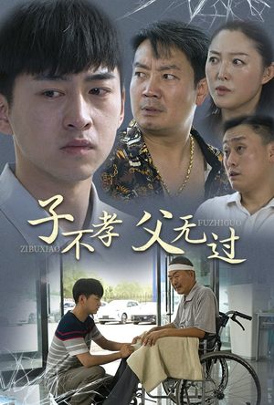 子不孝父无过（30集）在哪个平台能看