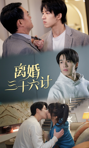 离婚三十六计（96集）在线观看完整版