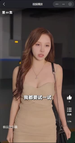我的富豪美女总裁（我的极品女总裁）在线免费观影
