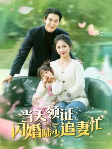 当天领证闪婚陆少追妻忙（80集）哪个网站可以看