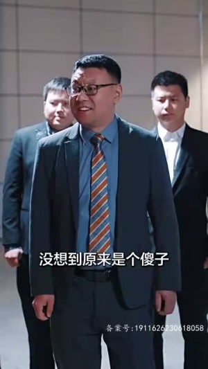 巅峰神婿（100集）免费短剧看不停