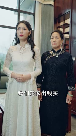 龙帝（100集）第32集