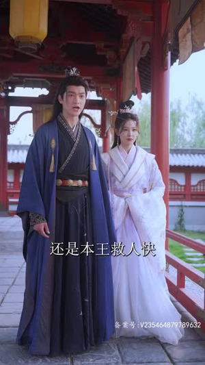王妃复仇记（70集）精彩短剧热播