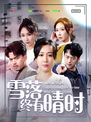 雪落终有晴时（80集）全集完整版