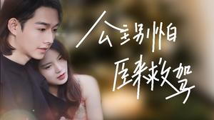 公主别怕，臣来救驾（90集）高分推荐免费看