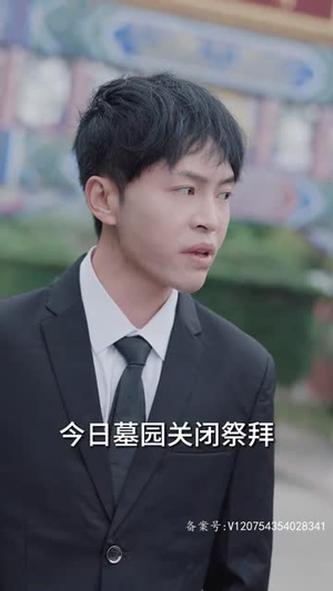 过度反应（80集）最新上映免费看