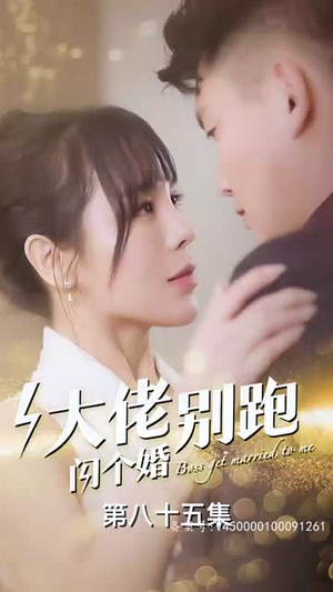 大佬别跑闪个婚（98集）最火短剧热播中