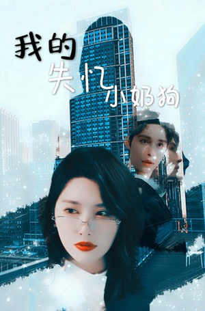 我的失忆小奶狗（64集）短剧分享剧集
