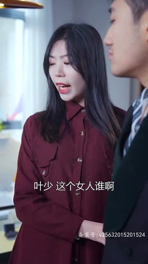 特工夫妇（82集）第三季