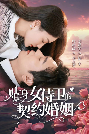 贴身女侍卫的契约婚姻（91集）每日短剧推荐