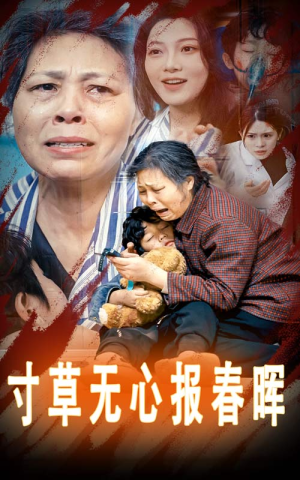 寸草无心报春晖&孝子慈孙（31集）百度网盘在线看