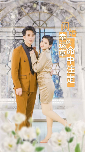 闪婚幸运草的命中注定（82集）短剧演员排行榜