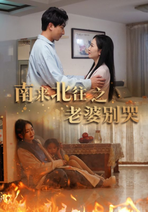 南来北往之老婆别哭（87集）看精彩短剧
