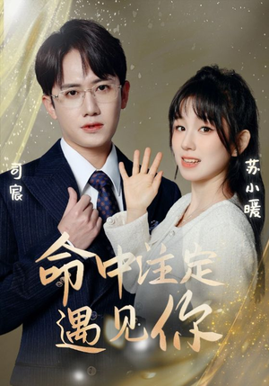 命中注定遇见你（96集）原创精彩短剧