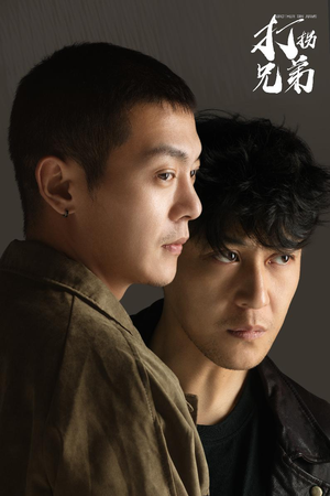 打拐兄弟（30集）短剧抢先看