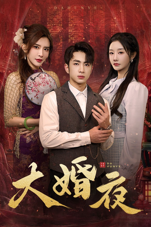 大婚夜（40集）短剧排行榜
