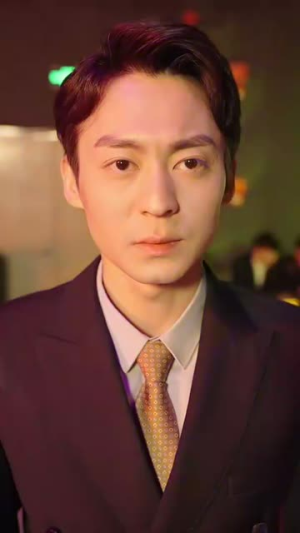 玻璃鞋上的独舞（90集）短剧分享剧集