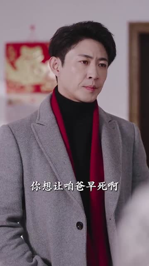 大年三十回娘家（30集）爆款短剧一起追