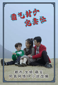 霸气封少宠妻忙（80集）短剧